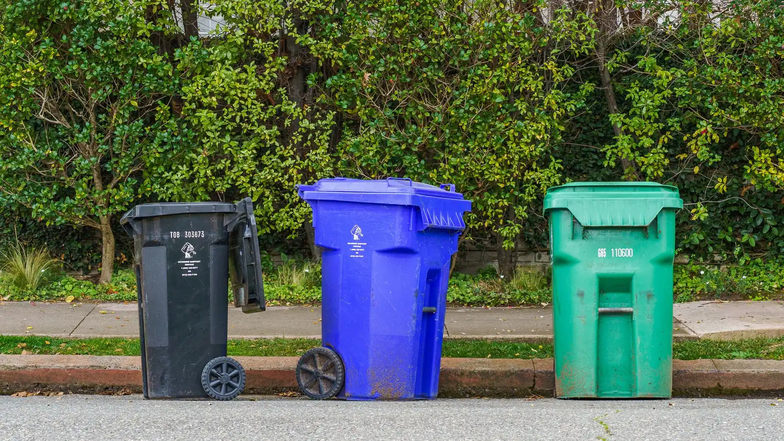 Trash & Garbage Can Cleaning by Madrid Cleaning Services Houston in Houston, TX